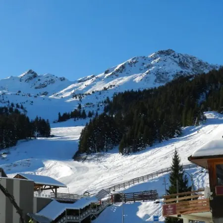 Au Pied Des Pistes, Balcon, Accueil Animaux - Fr-1-557a-20 شقة La Ferrière