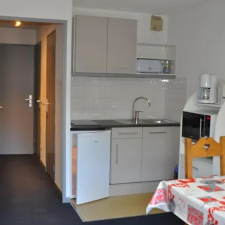 شقة Au Pied Des Pistes, Balcon, Accueil Animaux - Fr-1-557a-20 *